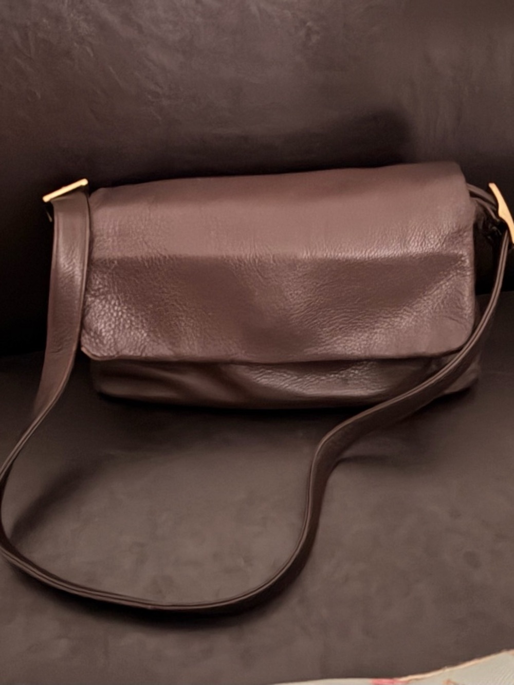 Etienne Aigner Chocolate Brown Leather Crossbody with Gold Accents